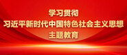 我想看大牛子超小逼逼学习贯彻习近平新时代中国特色社会主义思想主题教育_fororder_ad-371X160(2)